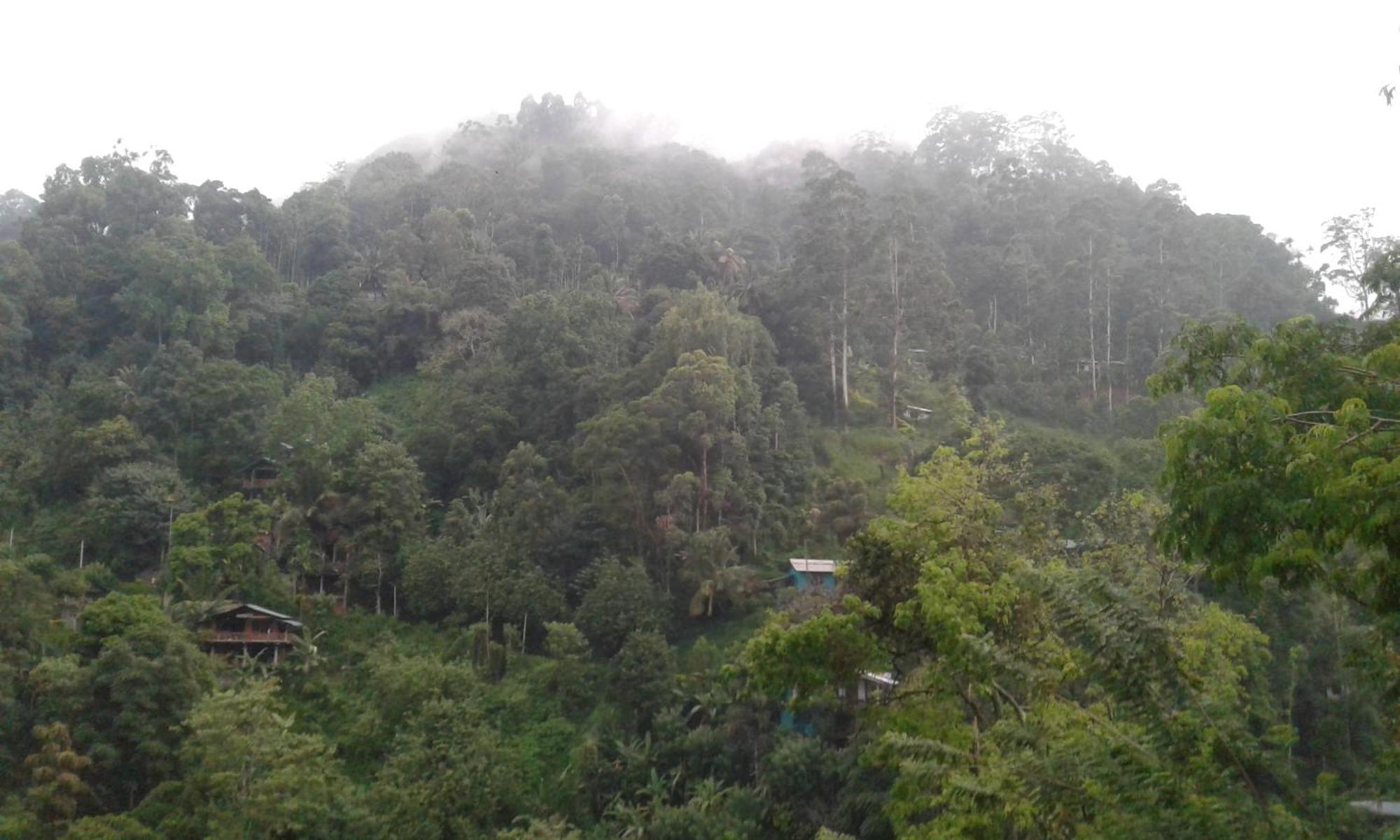 Ella Lucky Panoramic Hotel Bilik gambar